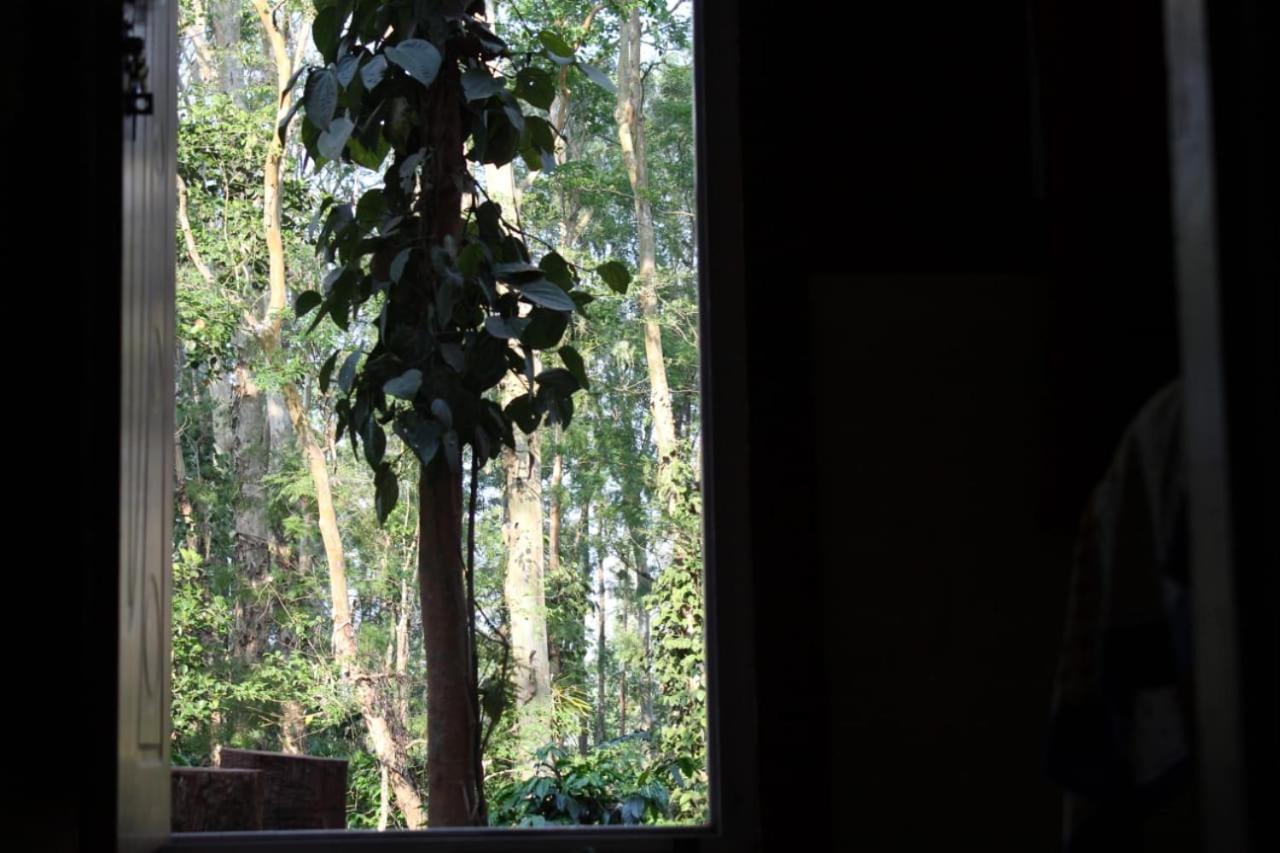 Kaikane Homestay Madikeri Εξωτερικό φωτογραφία