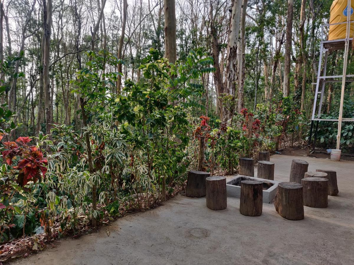 Kaikane Homestay Madikeri Εξωτερικό φωτογραφία